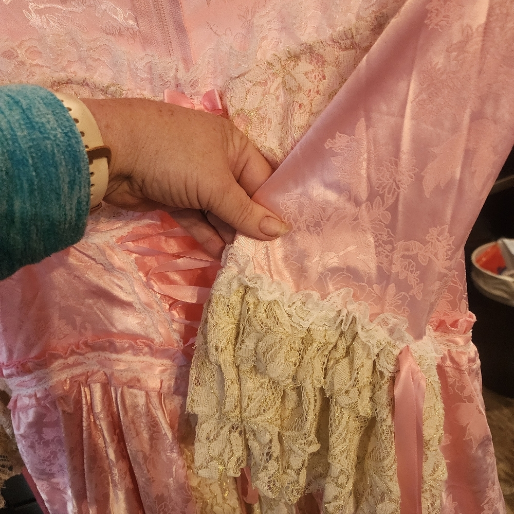 Pink Lace Women's Dress 18ptp Nwt - Picture 7 of 8